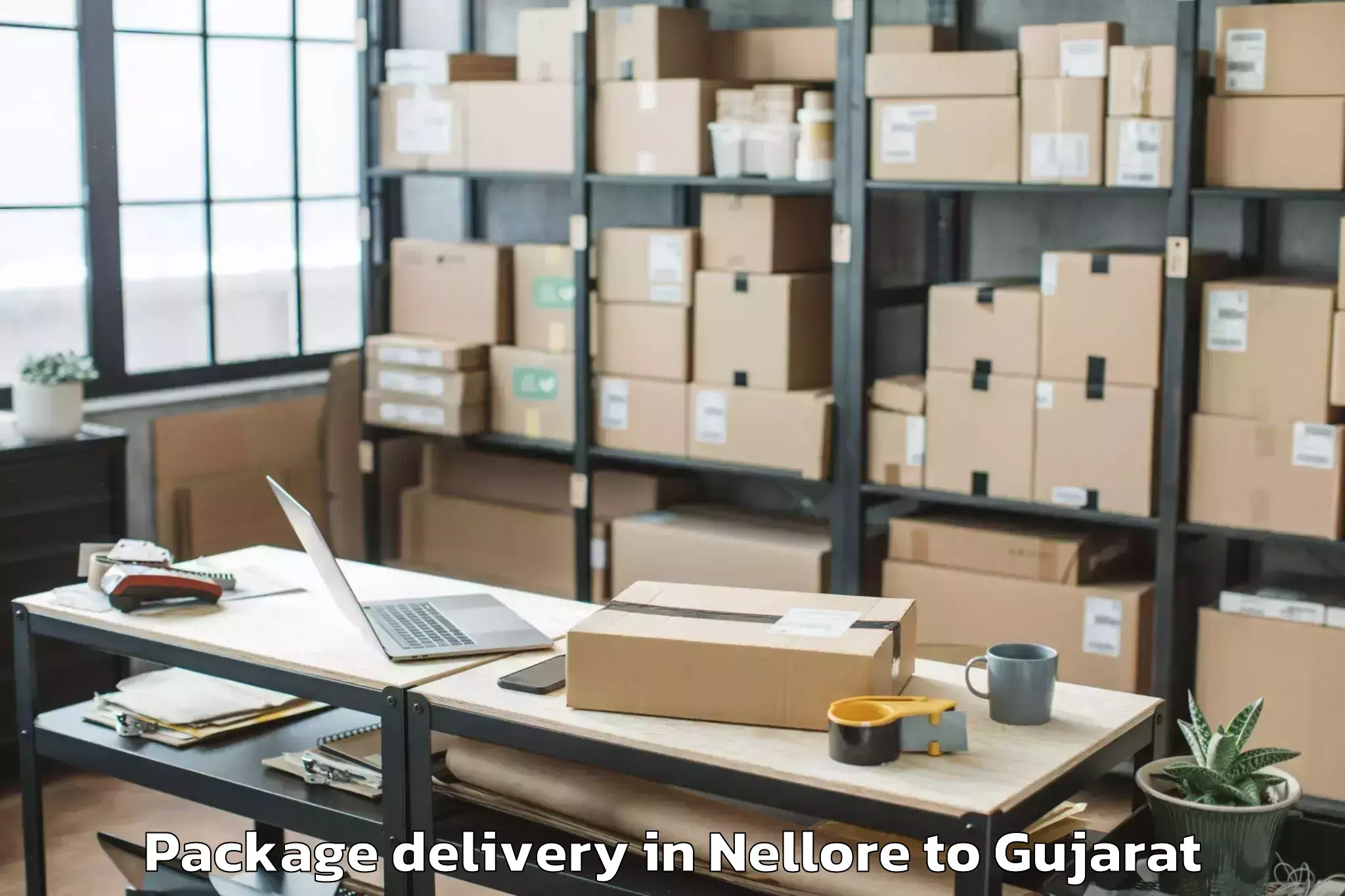 Professional Nellore to Harij Package Delivery